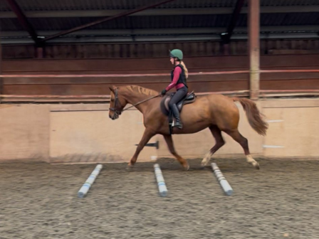 Kids Residential Riding Weekend 